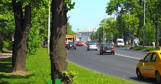 Посадка деревьев и кустарников в Валуйках — стоимость от 1277 руб.